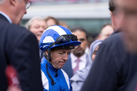 Baaeed (GB) - Horse Profile - BloodHorse