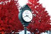 Scenics - Trees - Breeders Cup Signage - Keeneland - 10-27-22