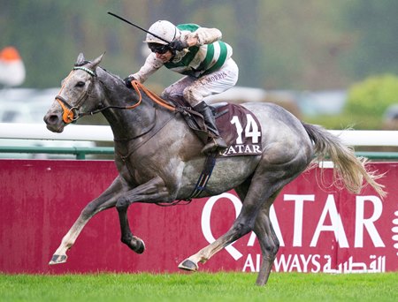 Alpinista wins the 2022 Prix de l'Arc de Triomphe at ParisLongchamp