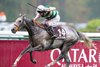 Alpinista (Luke Morris) win the Prix de L&#39;arc de Triomphe
Longchamp 2.10.22 Pic: Edward Whitaker