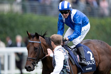 Baaeed (GB) - Horse Profile - BloodHorse