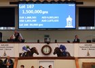 Lot 167 Dubawi (IRE) / Ring The Bell (IRE) B.C. (GB)   	Hazelwood Bloodstock	Godolphin	1,500,000. 
Tattersalls October Yearling Sale Book 1
04/10/22