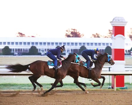 Senor Buscador (outside) catches up to his workmate in an Oct. 27 breeze at Keeneland