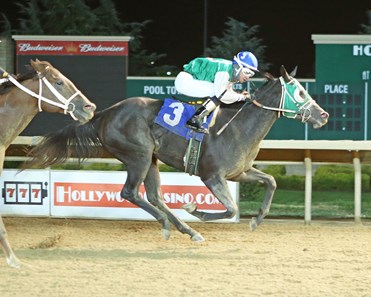 Serena's Cat - Horse Profile - BloodHorse