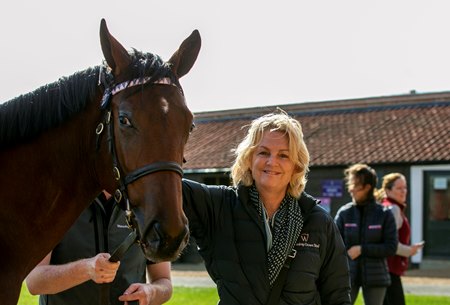 Madeleine Lloyd Webber of Watership Down Stud with the Frankel colt consigned as Lot 221 in the Tattersalls October Yearling Sale
