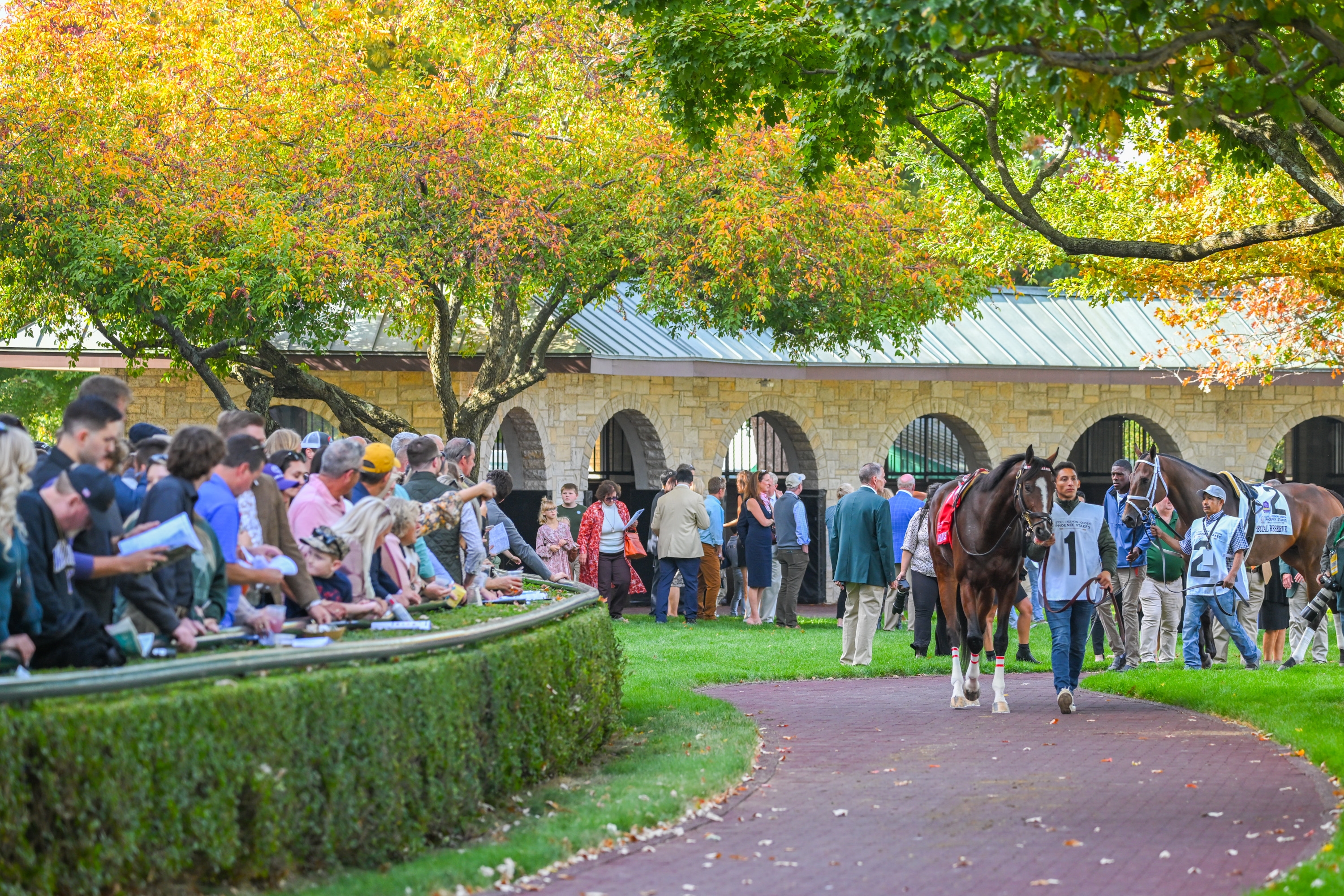 Keeneland Fall Meet Posts Record Figures BloodHorse   5731c51abb204c3a963a37722285c8ef 