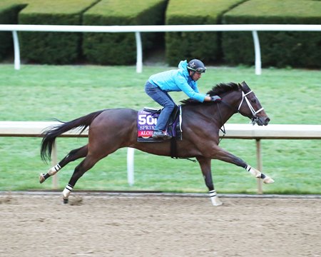 Aloha West breezes Oct. 31 at Keeneland