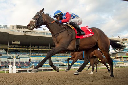 Hazelbrook wins the Ontario Fashion Stakes at Woodbine