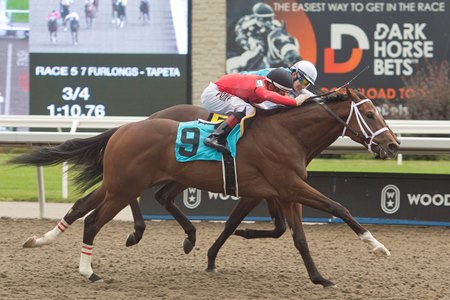 Renegade Serenade breaks his maiden at Woodbine