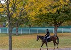 Hector Ramos walking back to the Pletcher barn on Never Change at Keeneland on Oct. 15, 2022



