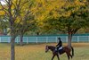 Hector Ramos walking back to the Pletcher barn on Never Change at Keeneland on Oct. 15, 2022



