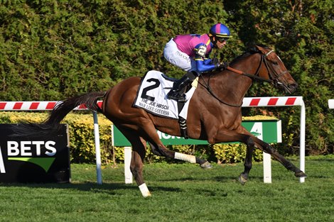 Joe Hirsch Turf Classic Stakes (G1T) War Like Goddess BloodHorse