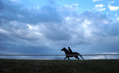 Three years after sweeping indictments in the industry, horse racing hopes HISA can provide a path forward