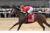Life Is Good wins the Woodward Stakes at Aqueduct Racetrack
