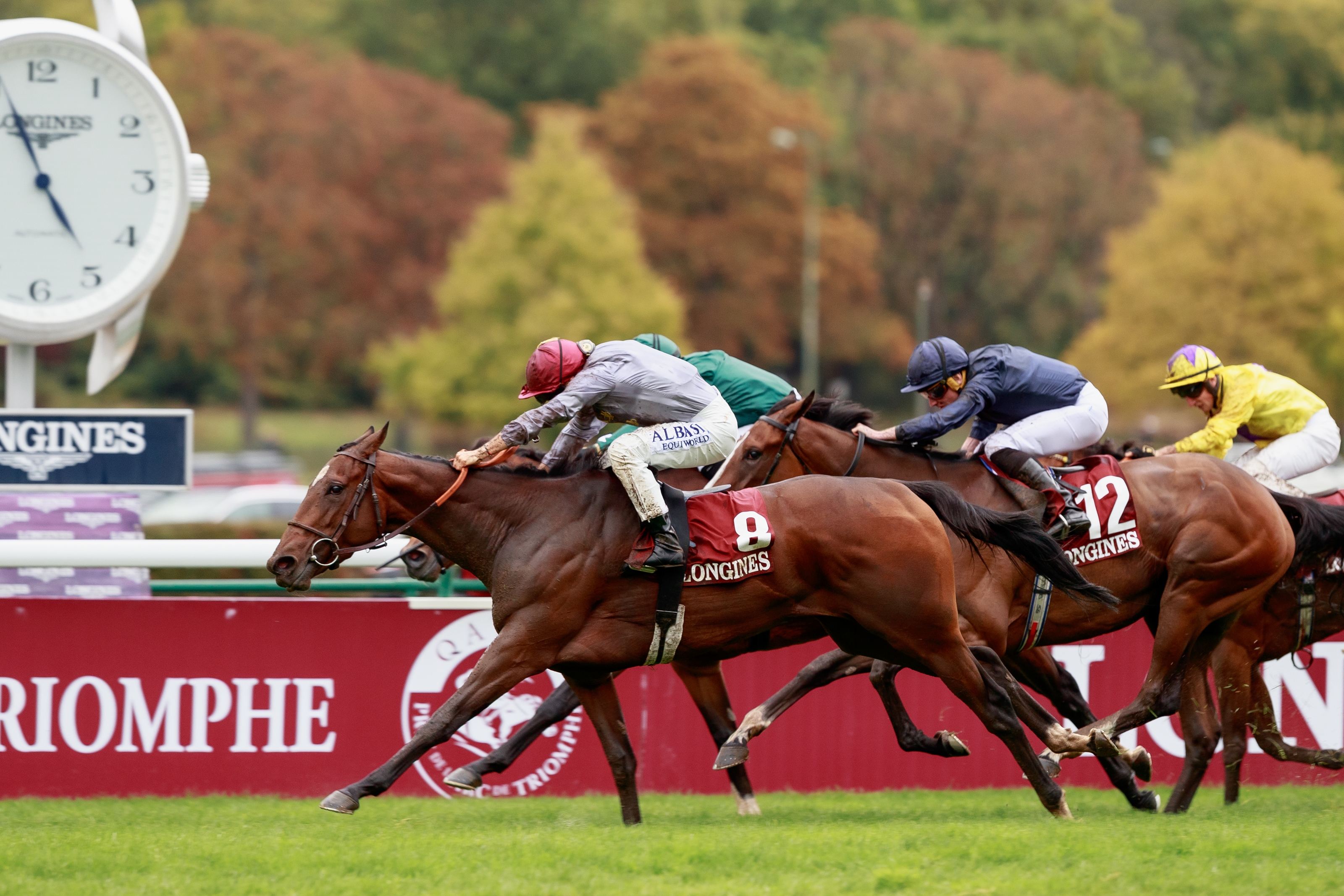 Place du Carrousel IRE Horse Profile BloodHorse