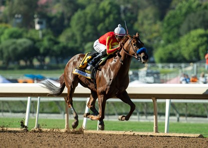 Defunded - Horse Profile - BloodHorse