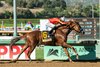 Defunded wins the Awesome Again Stakes at Santa Anita Park
