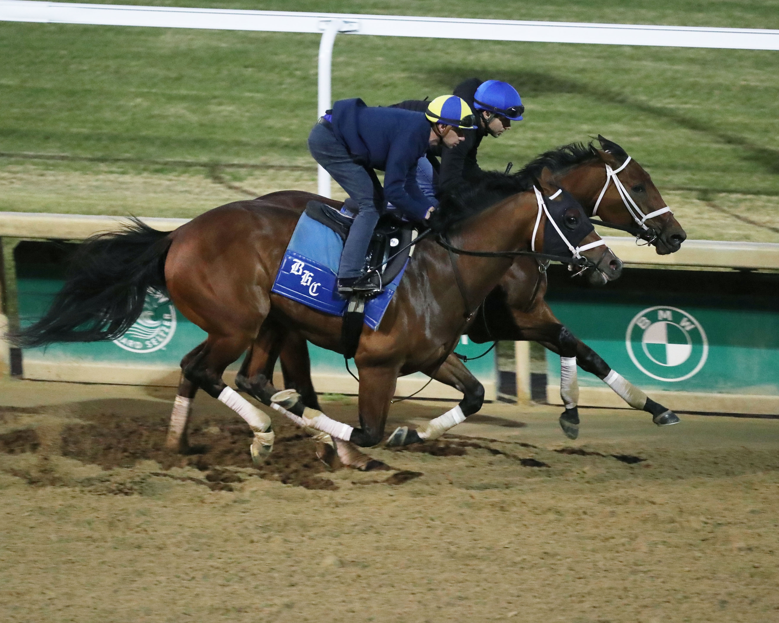 Verifying - Horse Profile - BloodHorse