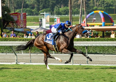 Going to Vegas scores a second victory in the Rodeo Drive Stakes at Santa Anita Park