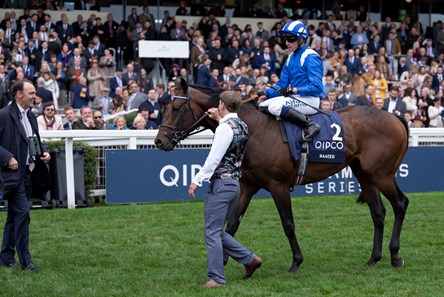 Baaeed (GB) - Horse Profile - BloodHorse