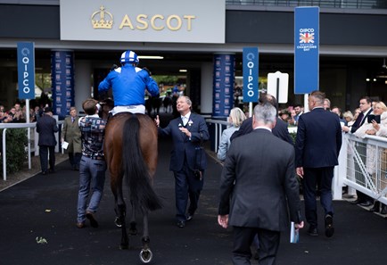 Baaeed (GB) - Horse Profile - BloodHorse