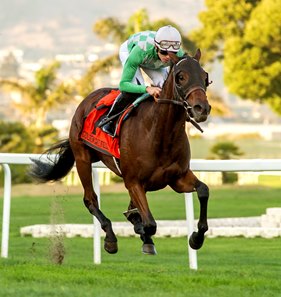 Quickly Park It wins the Pike Place Dancer Stakes at Golden Gate Fields