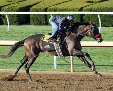 Hot Rod Charlie - Horse Profile - BloodHorse