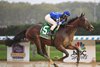 Blazing Sevens wins the Champagne Stakes at Aqueduct Racetrack