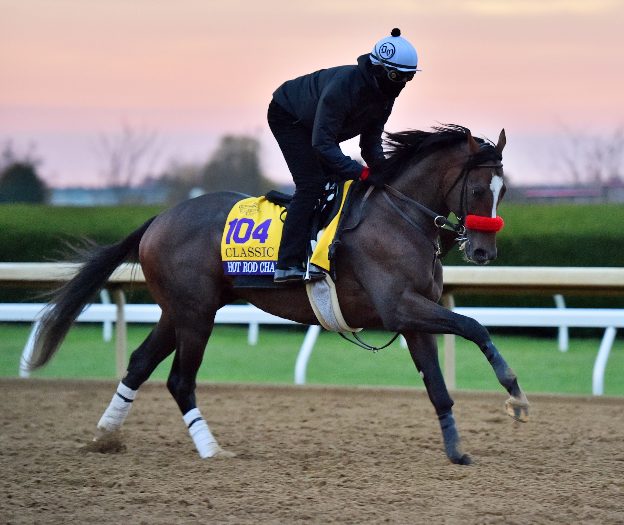 Hot Rod Charlie to Japan's Shadai Stallion Station - BloodHorse