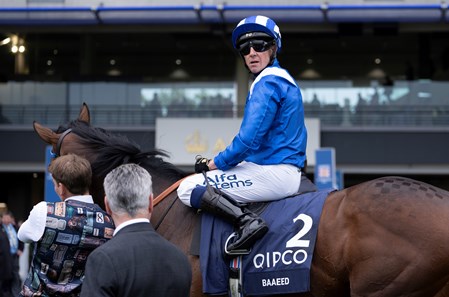 Baaeed (GB) - Horse Profile - BloodHorse