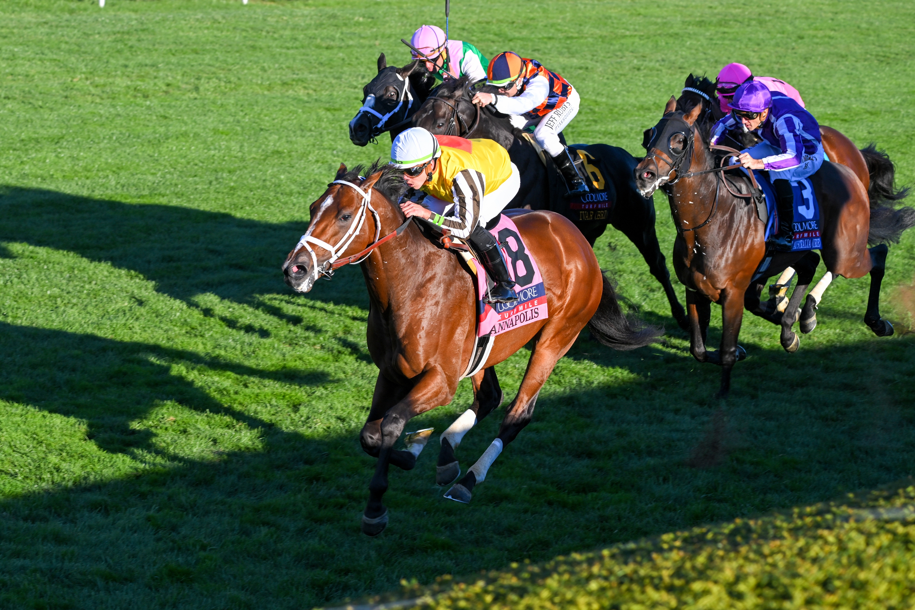 Keeneland Fall Meet Stakes Worth Record 9 05M BloodHorse   B8b5be58f2e942bbb8c01ac87b3a06d4 