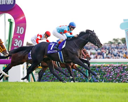Equinox wins the Autumn Tenno-Sho at Tokyo Racecourse