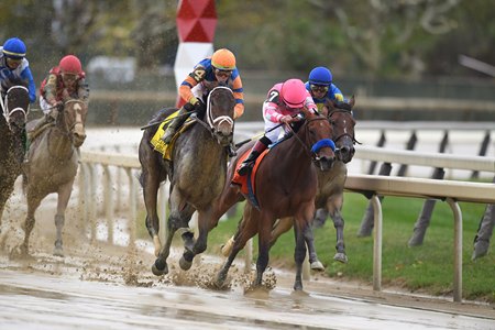 Chocolate Gelato wins the Frizette Stakes at Belmont at the Big A