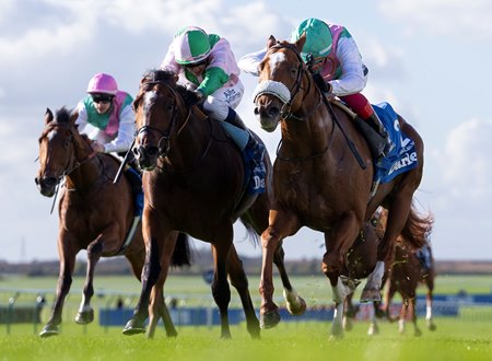 Chaldean (R) wins the Dewhurst Stakes at Newmarket Racecourse