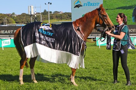 Giga Kick, shown after his win in the 2022 The Everest, is among the probable contenders for the newly promoted group 1 race at Randwick Racecourse