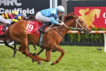 Durston takes the Caulfield Cup at Caulfield Racecourse