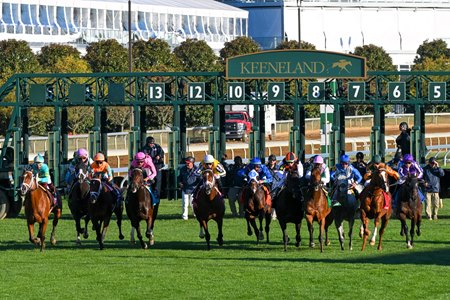 Racing at Keeneland, one of the tracks regulated by the Kentucky Horse Racing Commission