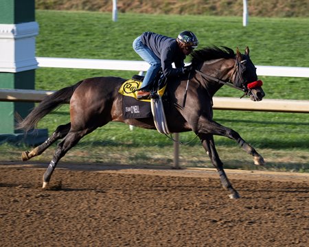 Hot Rod Charlie breezes Oct. 22 at Keeneland