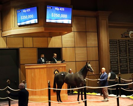 The Uncle Mo colt consigned as Hip 425 in the ring at the F-T Kentucky October Yearlings Sale