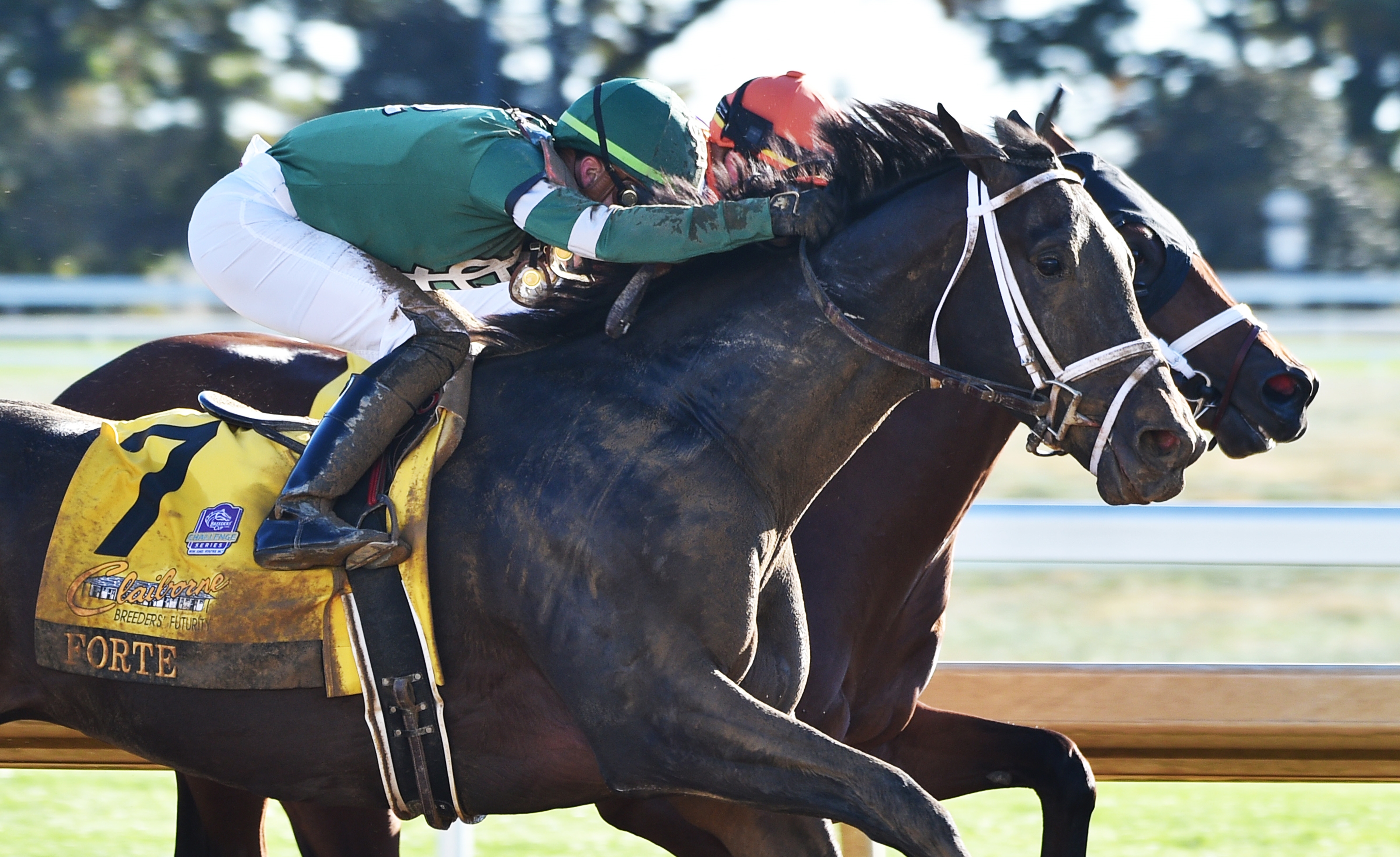 Forte Edges Loggins for Breeders' Futurity Score - BloodHorse