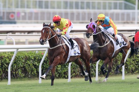 California Spangle (IRE) - Horse Profile - BloodHorse