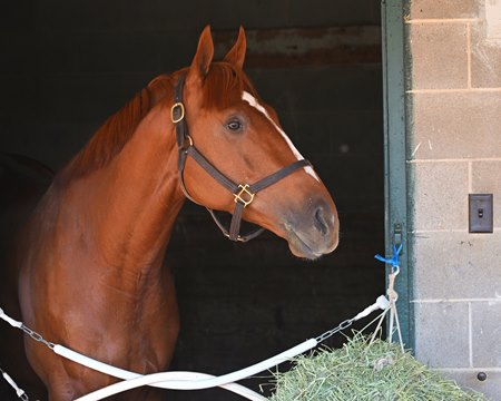 Rich Strike at Keeneland