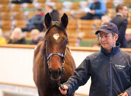 Lot 346, a filly by Bated Breath, in the ring at Tattersalls December Foal Sale