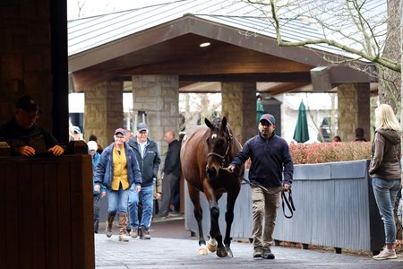 Keeneland Catalogs 3,569 Horses for November Sale - BloodHorse