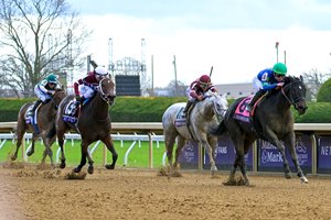 Goodnight Olive streaks home in the Breeders' Cup Filly & Mare Sprint at Keeneland
