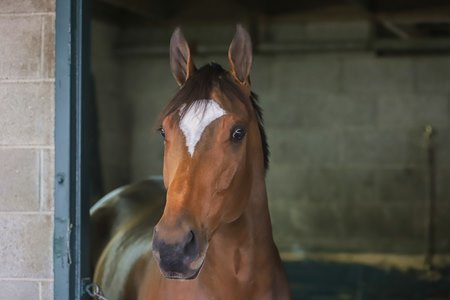 Malathaat at Keeneland
