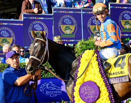Forte after winning the Breeders' Cup Juvenile at Keeneand