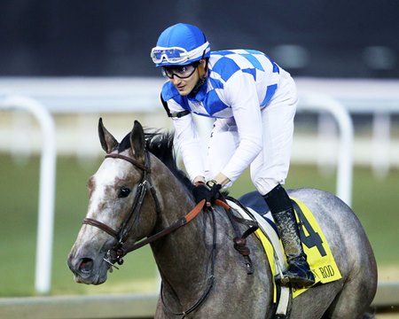 Hoosier Philly after winning the 2022 Golden Rod Stakes at Churchill Downs