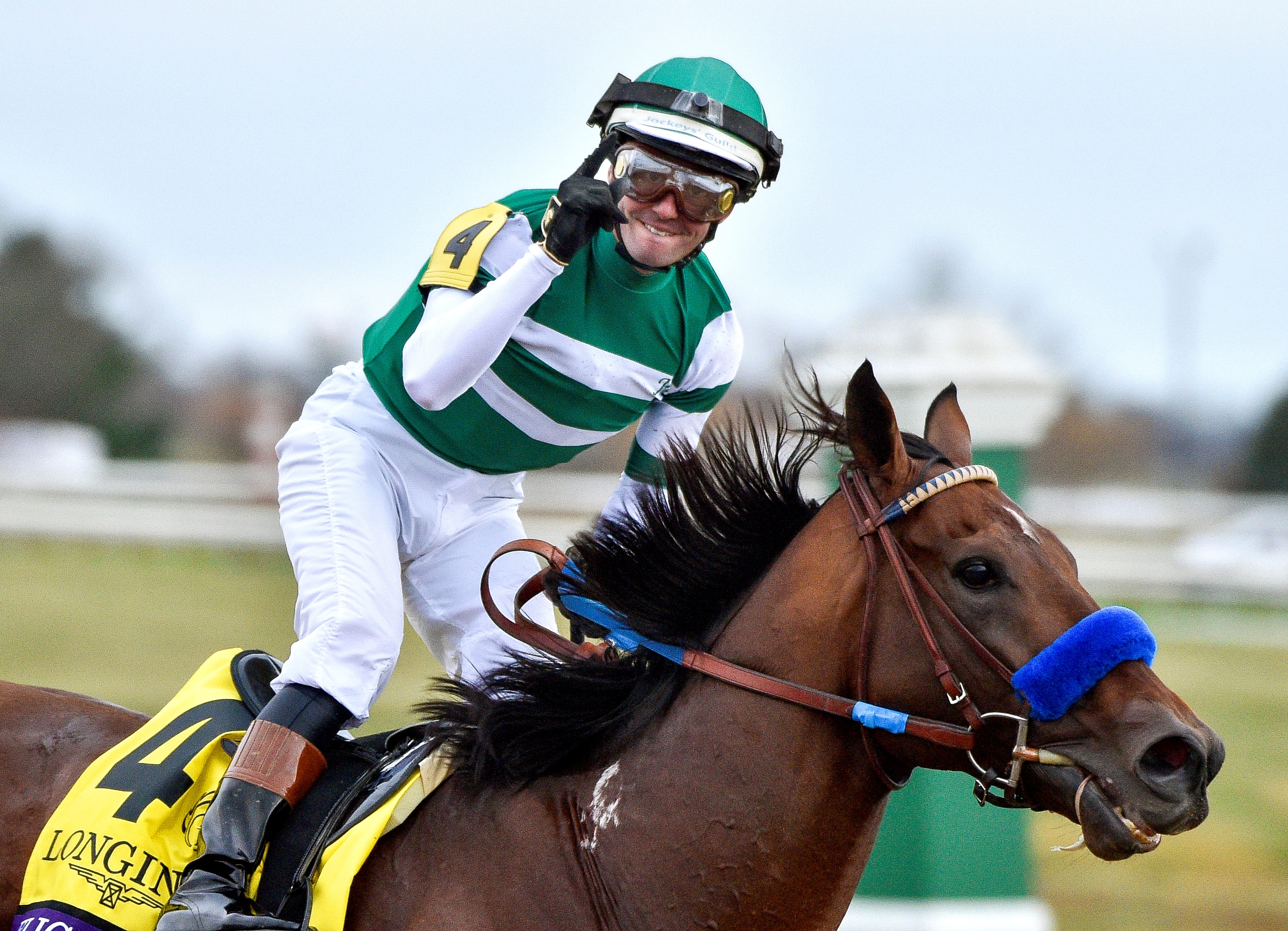 Our Voices: Only One Champion Could Match Flightline - BloodHorse