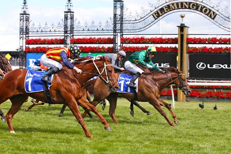 Roch 'n' Horse prevails in the Champions Sprint Stakes at Flemington Racecourse